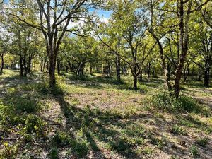 Terrain 1 327 m² Lalbenque