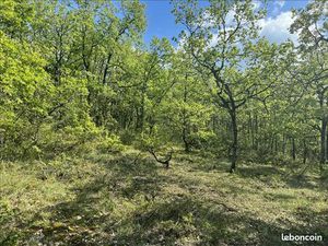 Terrain 5 047 m² Cuzance