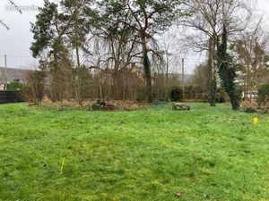 Terrain 1331 m² ST PIERRE DE MANNEVILLE