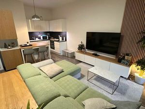 Grand 3 pièces moderne avec terrasse  garage et tram à 50 m