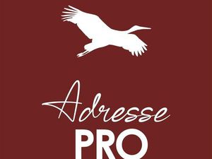 Local commercial 41 m²