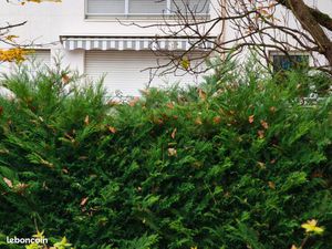 F2 Quartier des Houssières Chatenay Malabry