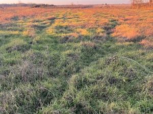 Vente terrain 1400 m² Podensac (33720)