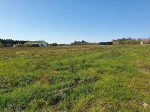 Vente terrain 5900 m² Loupiac-de-la-Réole (33190)