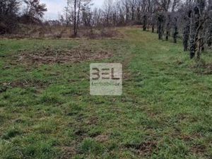 Vente terrain 4625 m² Saint-Paulet-de-Caisson (30130)