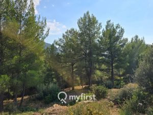 Terrain de loisir en pleine campagne