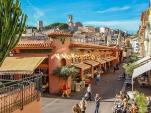 Cannes Forville : Droit au bail   bar et cave à vin  licence IV