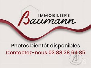 Appartement à louer MOLSHEIM