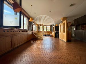 Plateau de 69m2 avec un bel extérieur à Fessenheim