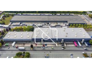 Immobilier Professionnel à louer Lieusaint