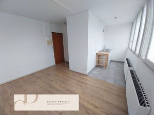 Appartement 1 pièce - 20 m²