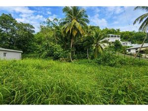 Terrain 4 573 m² au Gosier – Idéal investisseur / projet imm