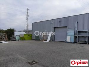 LOCAL D'ACTIVITE A LOUER