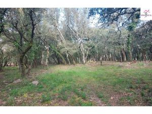 Vente terrain neuf 950m2 Sainte-Anastasie-sur-Issole - 149000 € - Surface Privée