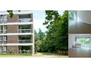 Immeuble de rapport à vendre à Daverlostraat 170 120 Assebroek (RBV01095)