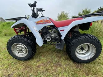 yamaha-wolverine-350