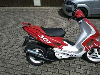 peugeot-speedfight-2-wrc-307-100ccm-ac-gilera-aprilia-yamaha