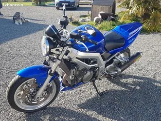 suzuki-sv1000n