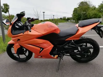 kawasaki-ninja-250r-custom-paint