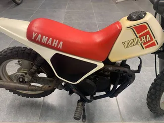 nouveau-yamaha-pw50