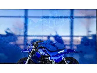 vendo yamaha pw 50 (2022) nuova a alessandria (codice 8643720) - moto.it