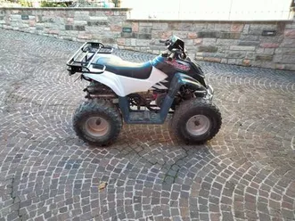 vendo-dinli-diablo-dl-604-50-usata-a-cagli-codice-9043747-moto-it