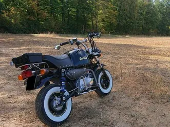 open-concepts-quickfoot-euro-3-vergaser-monkey-gorilla-skybongo