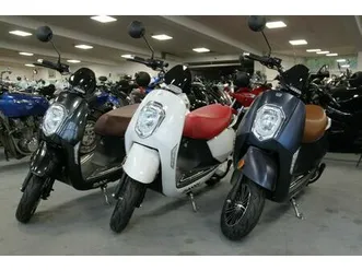 sachs-e-bee-e-roller-25-und-45-km-h