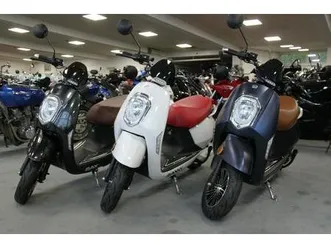 sachs-e-bee-e-roller-25-und-45-km-h