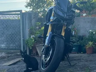 yamaha mt-09 2014 aveiro