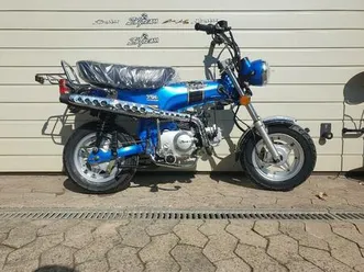 skyteam-dax-skymax-50-cc-euro-5-einspritzung