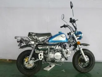 skyteam skymini monkey 50 cc euro 5 einspritzung abb. ähnl.