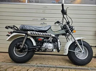 neu skyteam t-rex 125 cc euro 5 einspritzung
