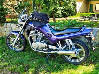suzuki vx 800