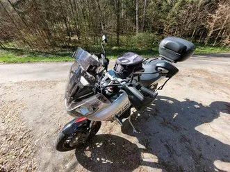 triumph - tiger 1050 sport -