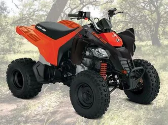 2024-can-am-ds-250