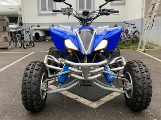 quad-450-yfz-homologue