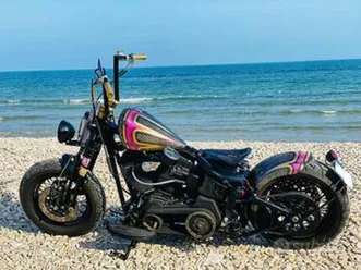 harley-davidson-softail-cross-bones-2011