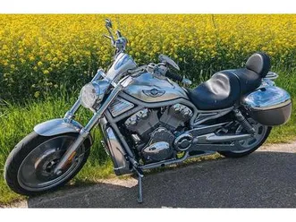 harley davidson vrod 100 th anniwersary edition