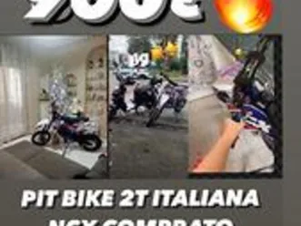 wt-motors-xx-50-2023