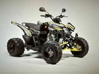 aeon cobra 424 sx efi schwarz-grün