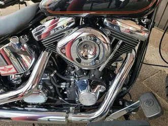 harley davidson fxst softail