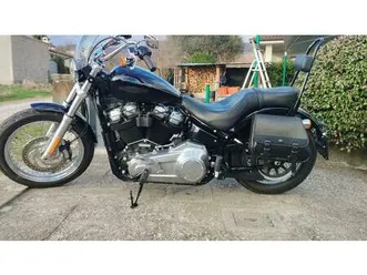 vendo harley-davidson softail standard (2020) - fxst usata a faedis (codice 9448218) - moto.it