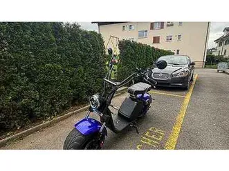 e-roller-fatboy-suv-3-0-2023