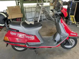 beluga canton thurgovie -