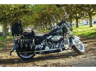 harley-davidson-fxsts-1450-softail-springer-custom-canton-thurgovie