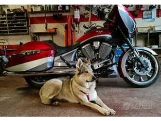 victory magnum - 2015