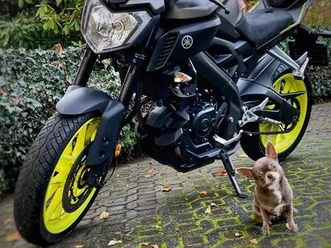 yamaha-mt-125-radical-racing-highsider-tuv-bis-08-26