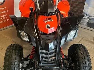 ◊◊ destockage ◊◊ can-am ds 250