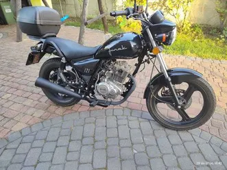 junak-121-125cm-na-kat-b-2022-r-kobyla-gora